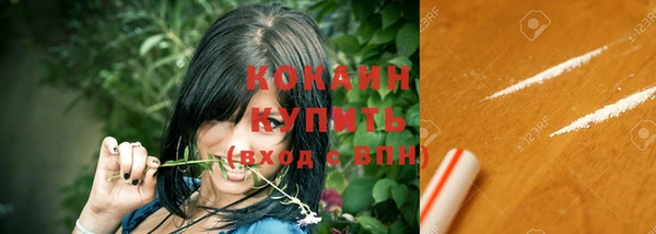 spice Осинники