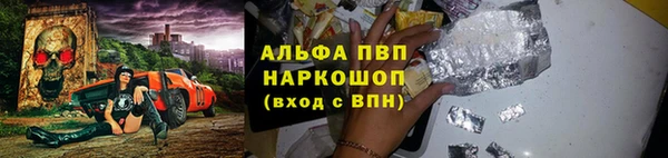 ПСИЛОЦИБИНОВЫЕ ГРИБЫ Дмитров