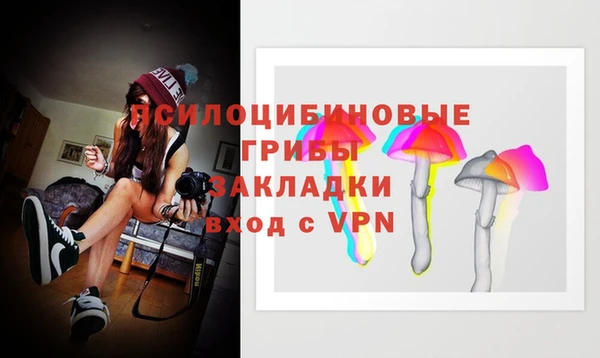 spice Осинники