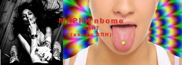 spice Осинники