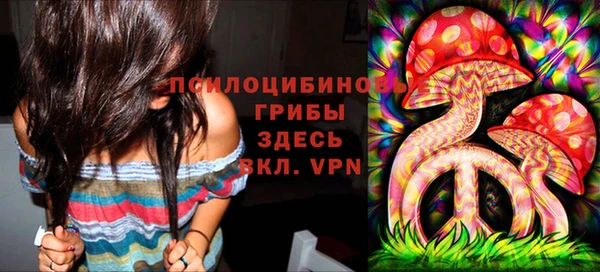 ECSTASY Галич
