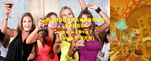 не бодяженный Осташков