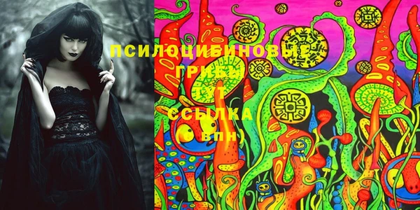 spice Осинники