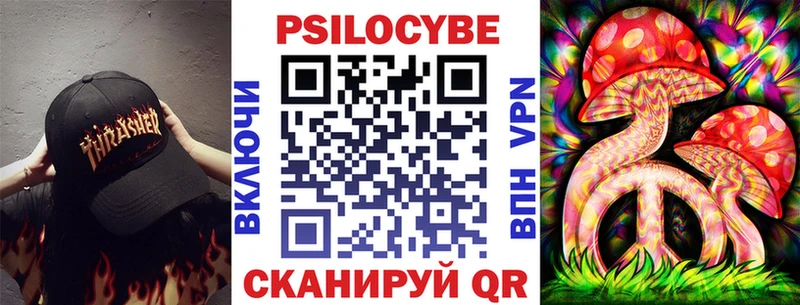 где продают   Киржач  блэк спрут ТОР  Псилоцибиновые грибы Psilocybe 