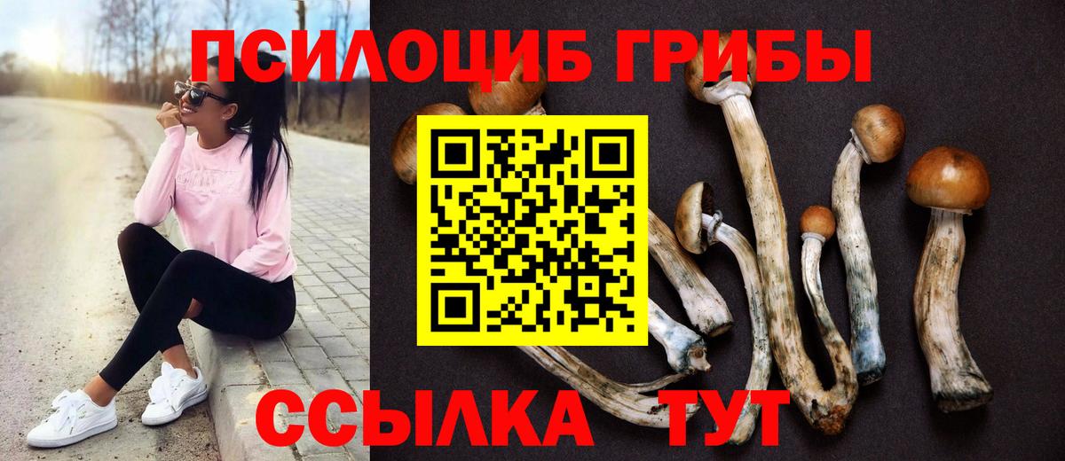 Галлюциногенные грибы GOLDEN TEACHER  Киржач 