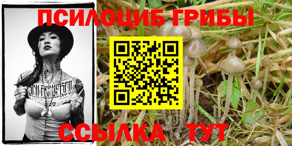 Галлюциногенные грибы Cubensis Киржач